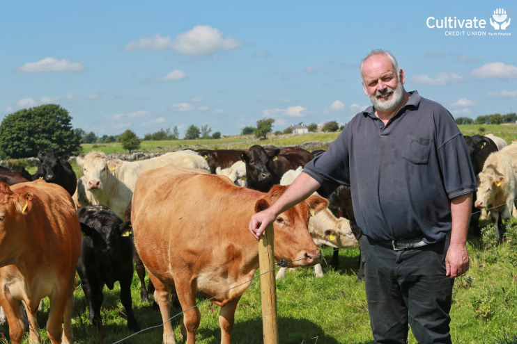 farmer and cows in a field